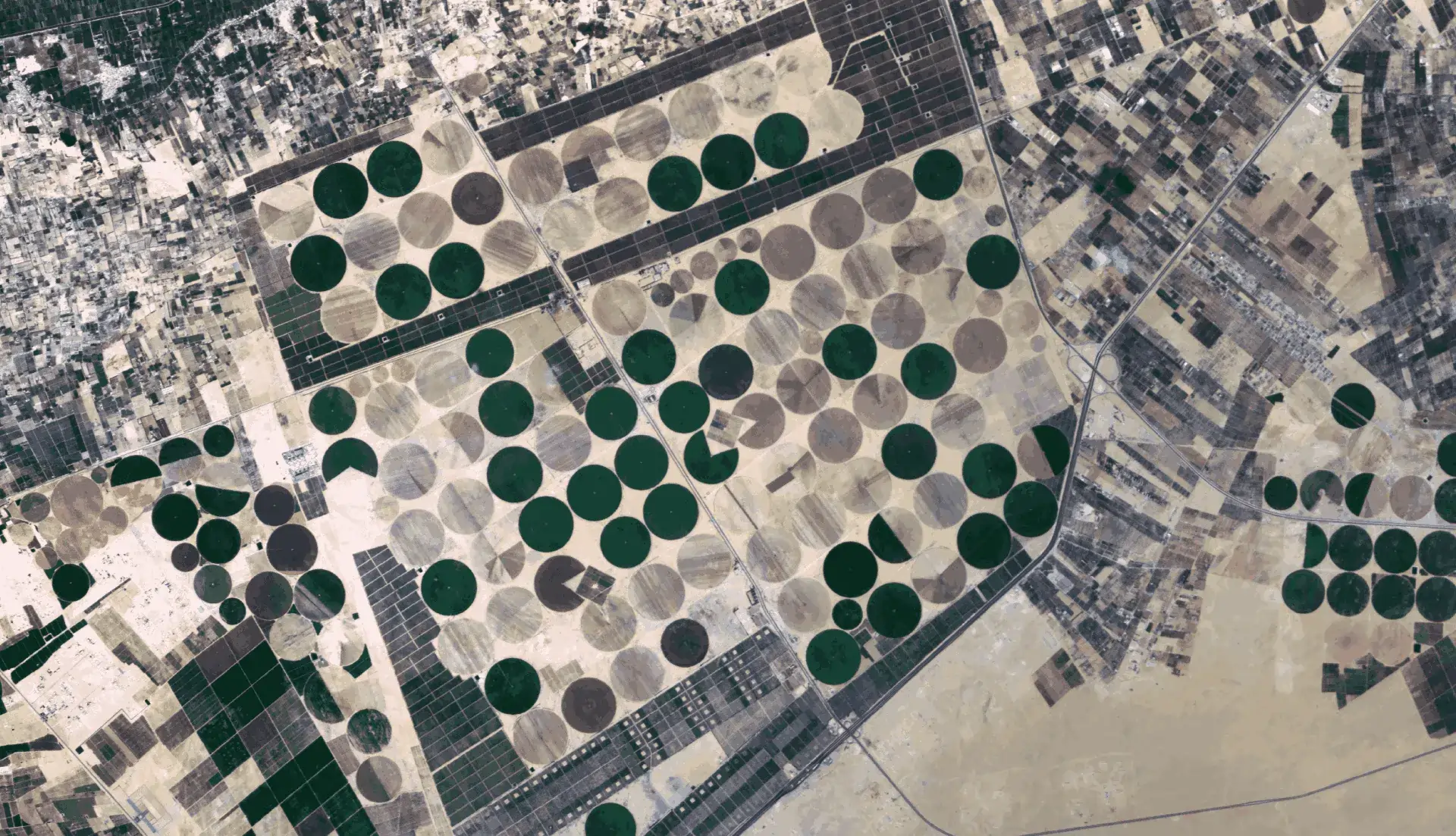 Main-Page-AFR-Samples-2